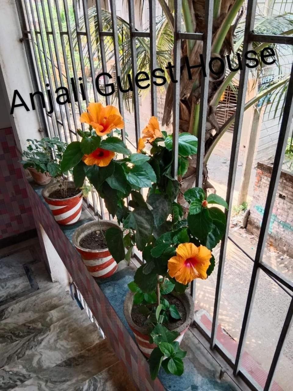 Anjali Guest House Digha  Exterior photo